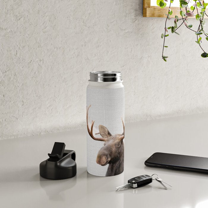 Moose - Colorful Water Bottle Gallery Image 5