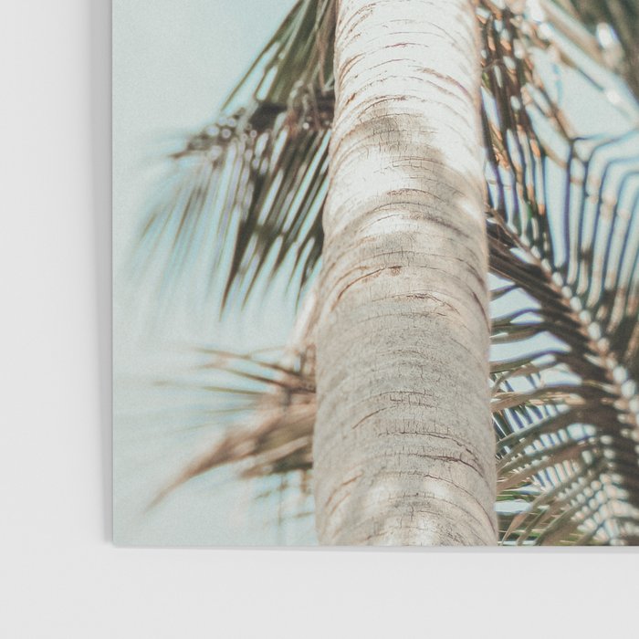 Coastal Palm Trees Poster Gallery Image 3