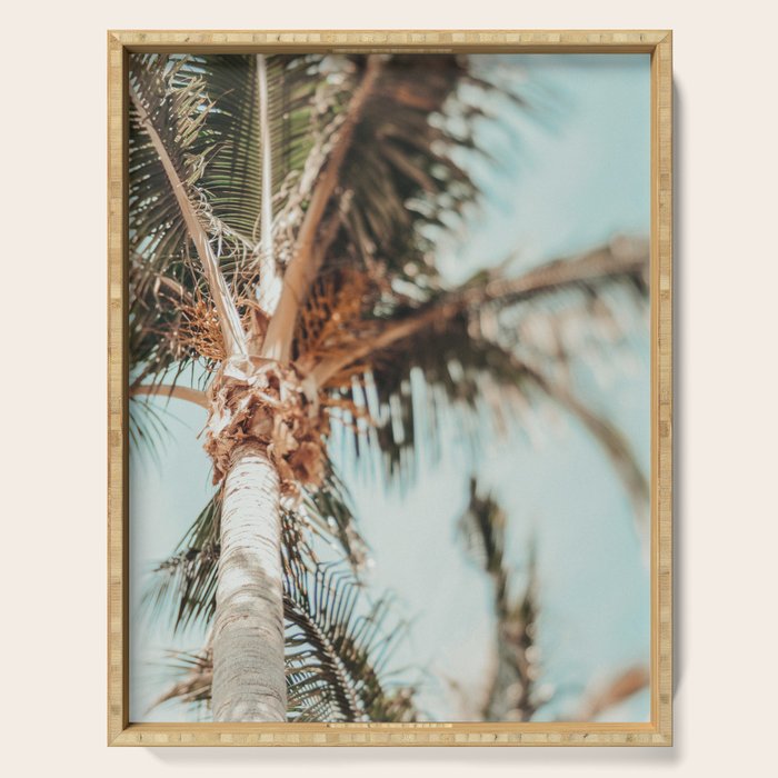 Coastal Palm Trees Serving Tray Gallery Image 1