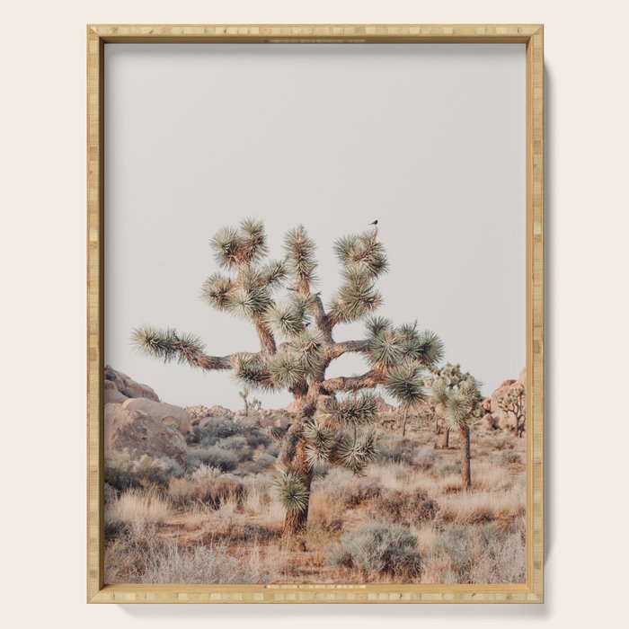 Twisted Joshua Tree, Desert Art Print, Landscape Photography Serving Tray Gallery Image 1
