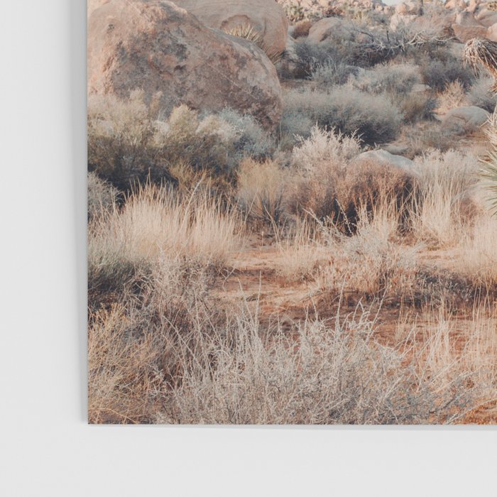 Twisted Joshua Tree, Desert Art Print, Landscape Photography Poster Gallery Image 3