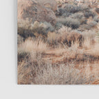 Twisted Joshua Tree, Desert Art Print, Landscape Photography Poster Gallery Image 3
