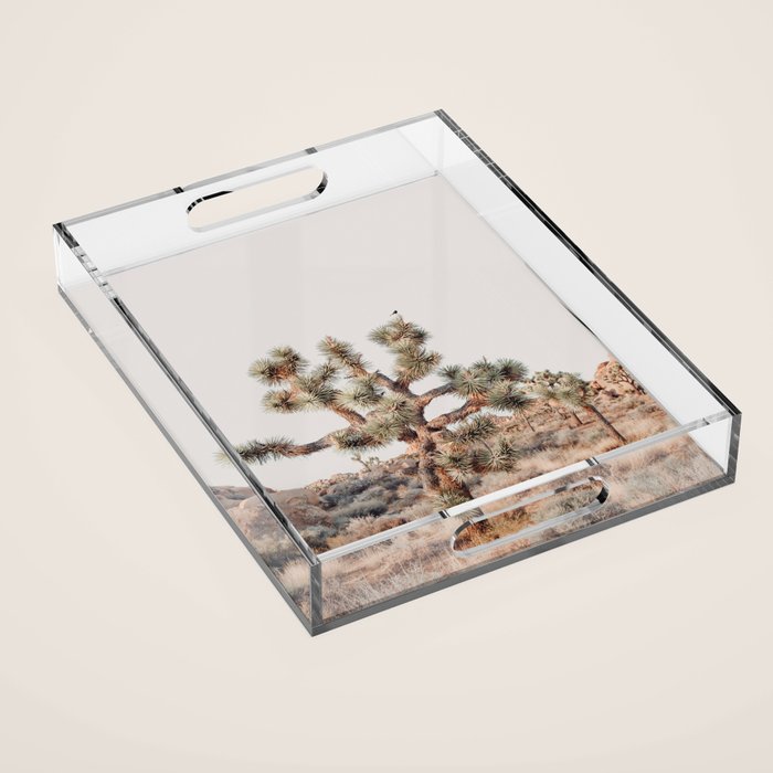 Twisted Joshua Tree, Desert Art Print, Landscape Photography Acrylic Tray Gallery Image 1