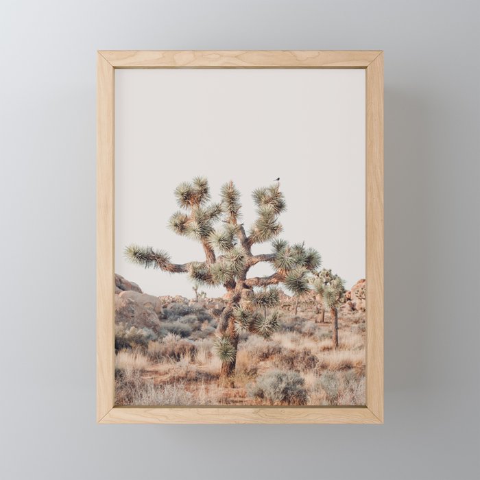 Twisted Joshua Tree, Desert Art Print, Landscape Photography Mini Art Print Gallery Image 1