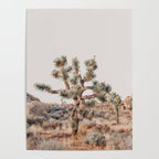 Twisted Joshua Tree, Desert Art Print, Landscape Photography Poster Gallery Image 4
