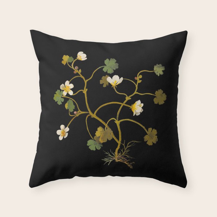 Ranunculus Aquaticus (Polyandria Polygynia) by Mary Delany Paper Collage Floral Flower Botanical Paper Mosaic Vintage Scientific Plant Anatomy Throw Pillow Gallery Image 6