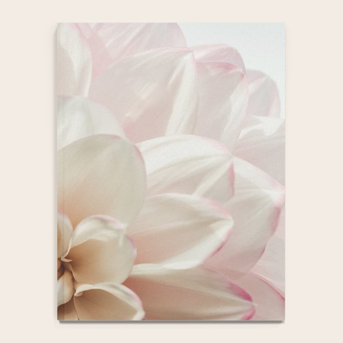 Intrepid x white dahlia flower photograph Notebook Gallery Image 4