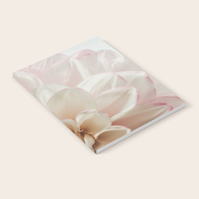 Intrepid x white dahlia flower photograph Notebook Gallery Image 2