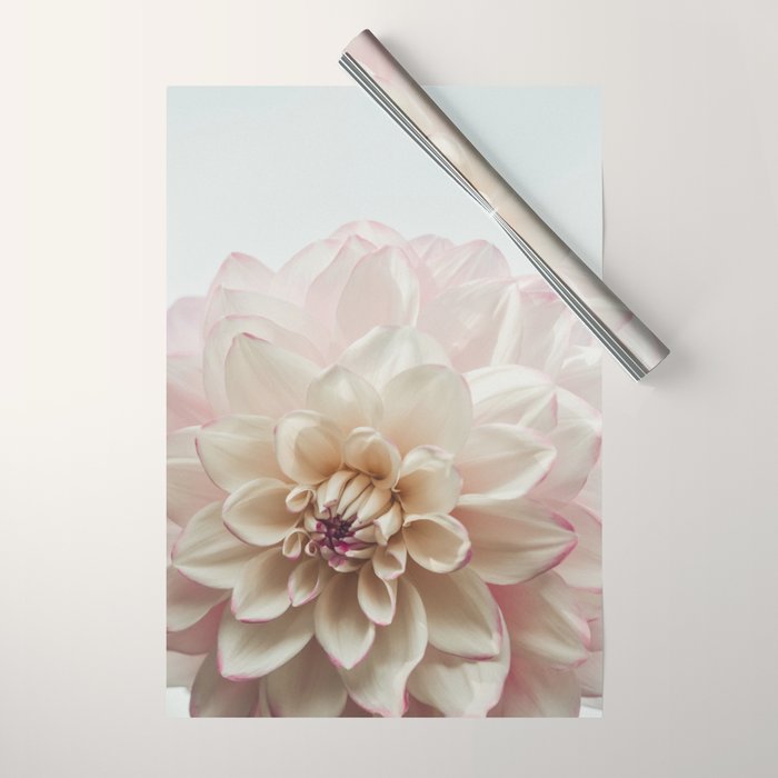 Intrepid x white dahlia flower photograph Wrapping Paper Gallery Image 1