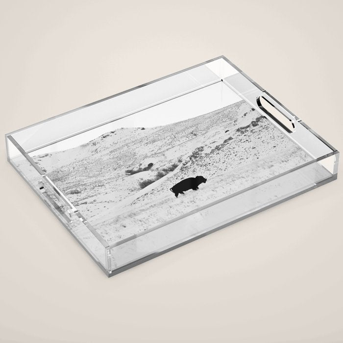 Black and White Bison Acrylic Tray Gallery Image 1