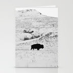 Black and White Bison Stationery Card Gallery Image 2