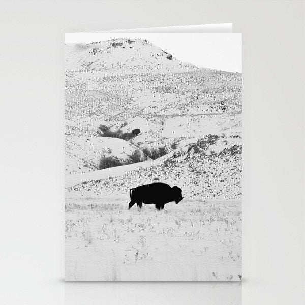Black and White Bison Stationery Card Gallery Image 2