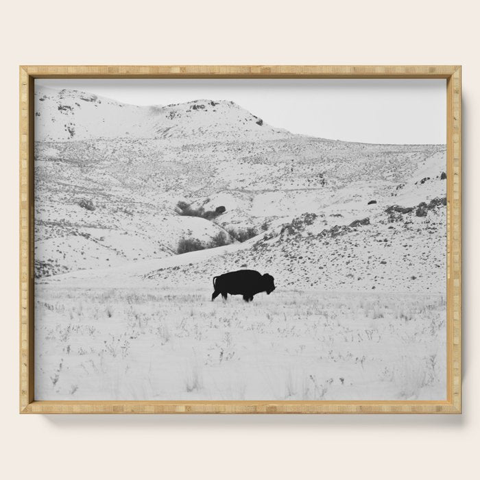 Black and White Bison Serving Tray Gallery Image 1