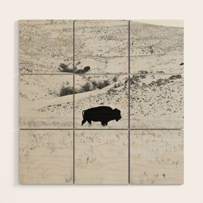 Black and White Bison Wood Wall Art Gallery Image 1