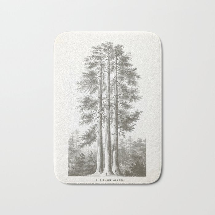 Sequoia Tree Illustration - The Three Graces at Mariposa Grove in Yosemite National Park Bath Mat Gallery Image 1