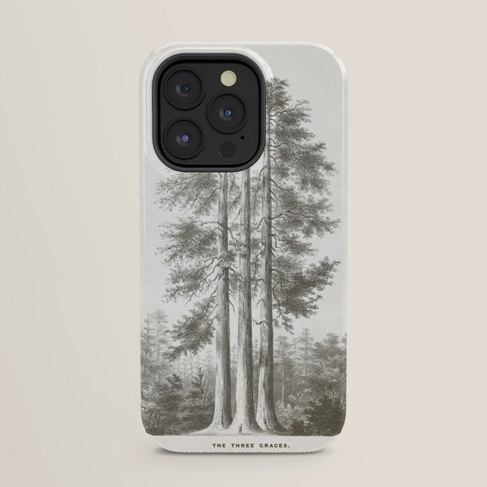 Sequoia Tree Illustration - The Three Graces at Mariposa Grove in Yosemite National Park iPhone Case Gallery Image 23