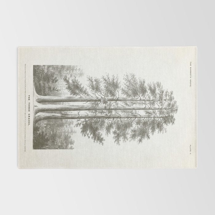 Sequoia Tree Illustration - The Three Graces at Mariposa Grove in Yosemite National Park Rug Gallery Image 2
