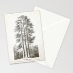 Sequoia Tree Illustration - The Three Graces at Mariposa Grove in Yosemite National Park Stationery Card Gallery Image 2