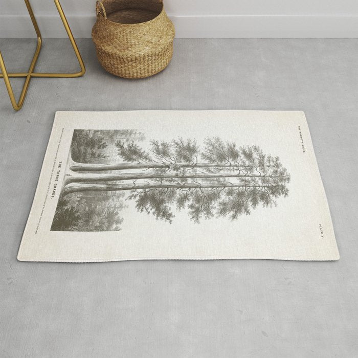 Sequoia Tree Illustration - The Three Graces at Mariposa Grove in Yosemite National Park Rug Gallery Image 1