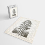 Sequoia Tree Illustration - The Three Graces at Mariposa Grove in Yosemite National Park Jigsaw Puzzle Gallery Image 2