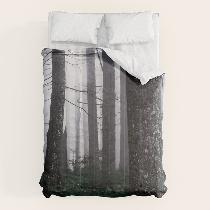 Forest Fog Fun Adventure Comforter Gallery Image 6