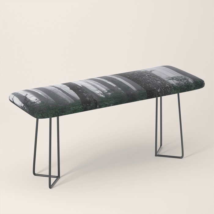 Forest Fog Fun Adventure Bench Gallery Image 1
