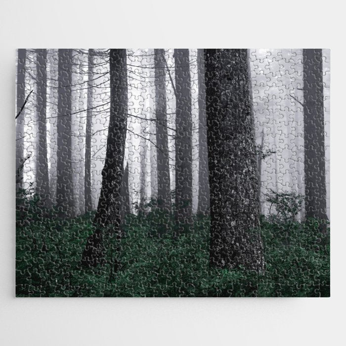 Forest Fog Fun Adventure Jigsaw Puzzle Gallery Image 1