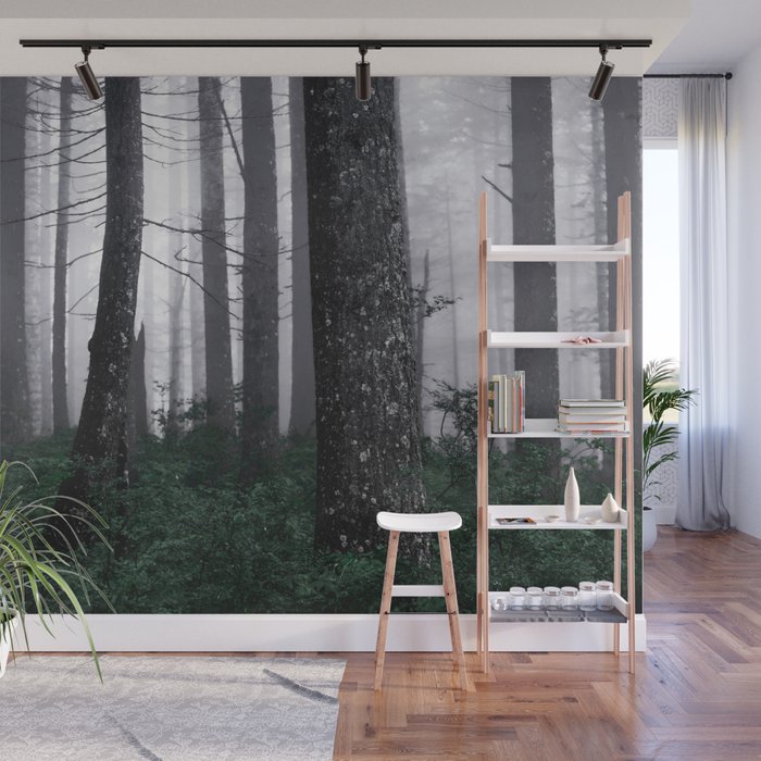 Forest Fog Fun Adventure Wall Mural Gallery Image 1