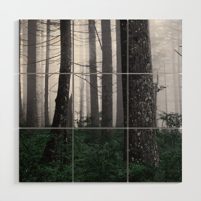 Forest Fog Fun Adventure Wood Wall Art Gallery Image 1