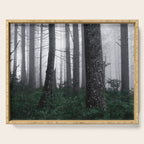 Forest Fog Fun Adventure Serving Tray Gallery Image 1