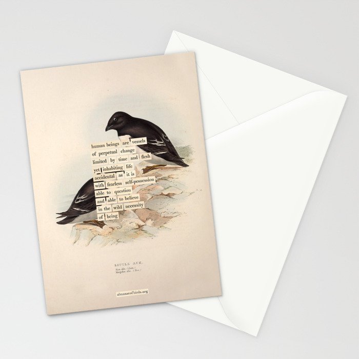 Bird Divinations: Little Auk (about: almanacofbirds.org) Stationery Card Gallery Image 2