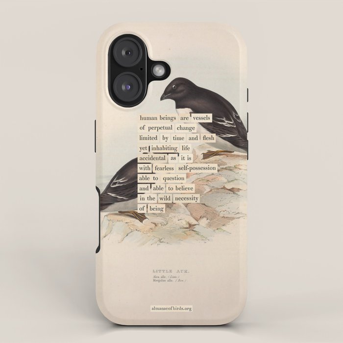Bird Divinations: Little Auk (about: almanacofbirds.org) iPhone Case Gallery Image 1