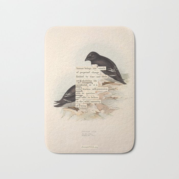 Bird Divinations: Little Auk (about: almanacofbirds.org) Bath Mat Gallery Image 1