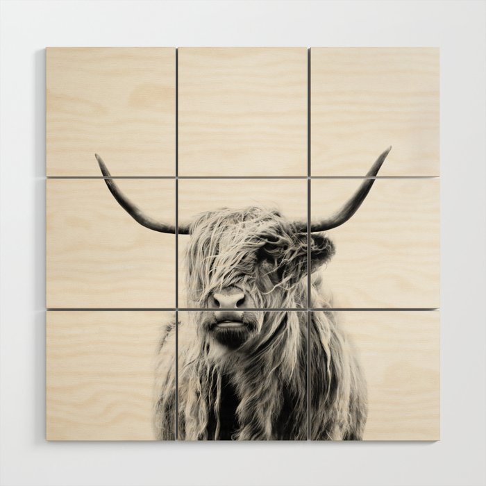 portrait of a highland cow Wood Wall Art Gallery Image 1