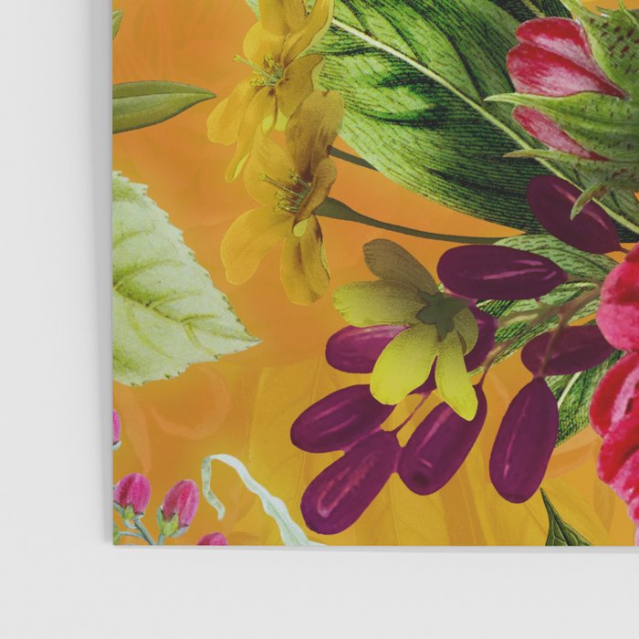 Vintage & Shabby Chic - Sunny Magenta Spring Roses Botanical Flower Garden Poster Gallery Image 3