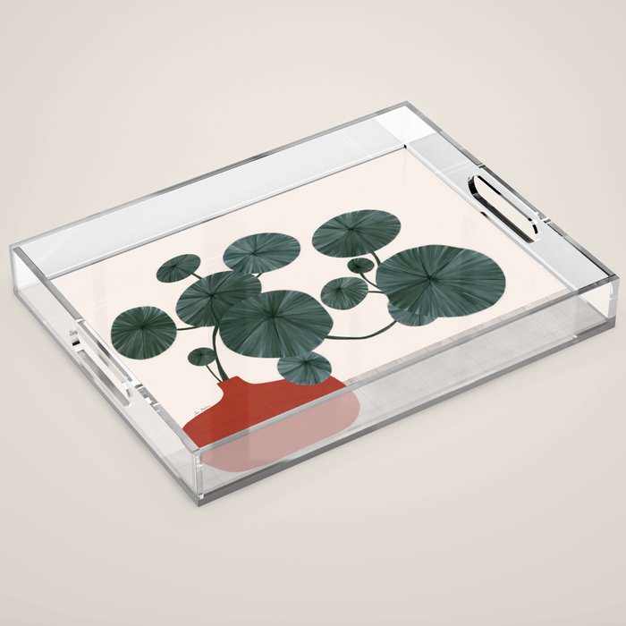 Stephonia Erecta plant Acrylic Tray Gallery Image 1