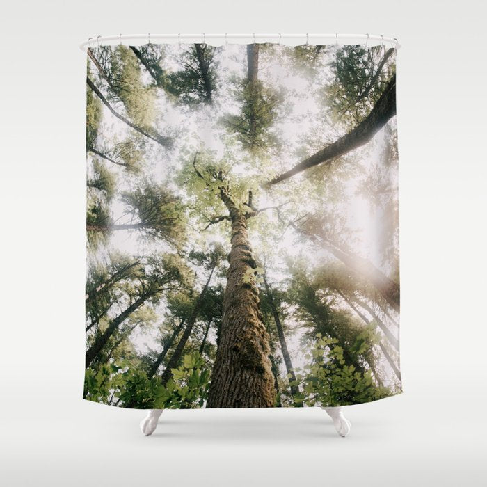 Looking Up Shower Curtain Gallery Image 1