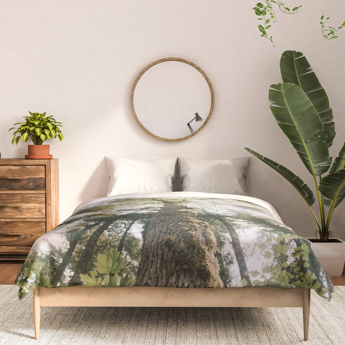 Looking Up Comforter Gallery Image 3