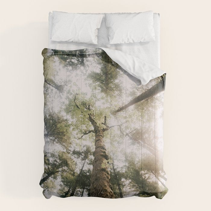 Looking Up Comforter Gallery Image 1