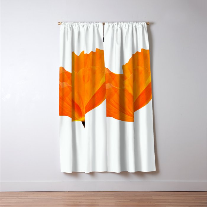 One And Only - Orange Poppy White Background #decor #society6 #buyart Window Curtain Gallery Image 3