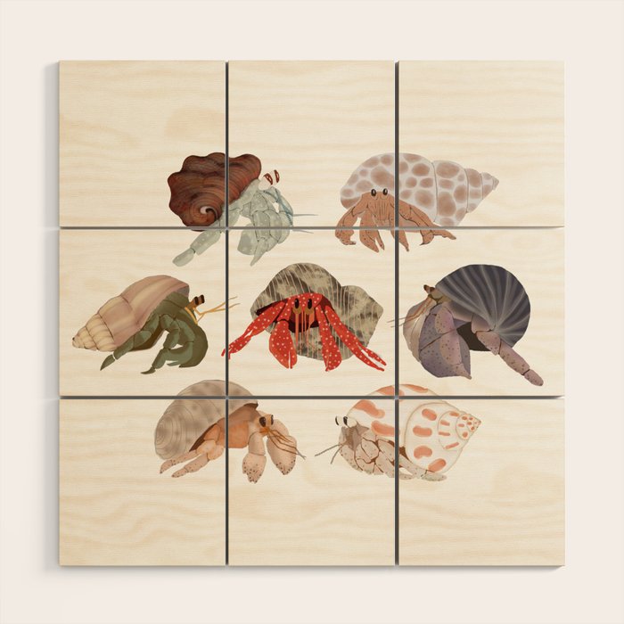 Hermit Crabs Wood Wall Art Gallery Image 1
