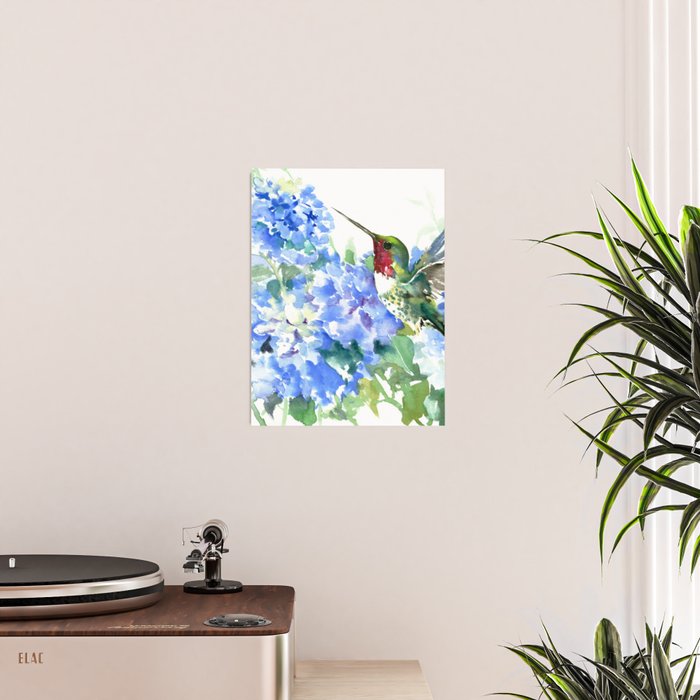 Hydrangea Flowers and Ruby Throat Hummingbird Poster Gallery Image 2