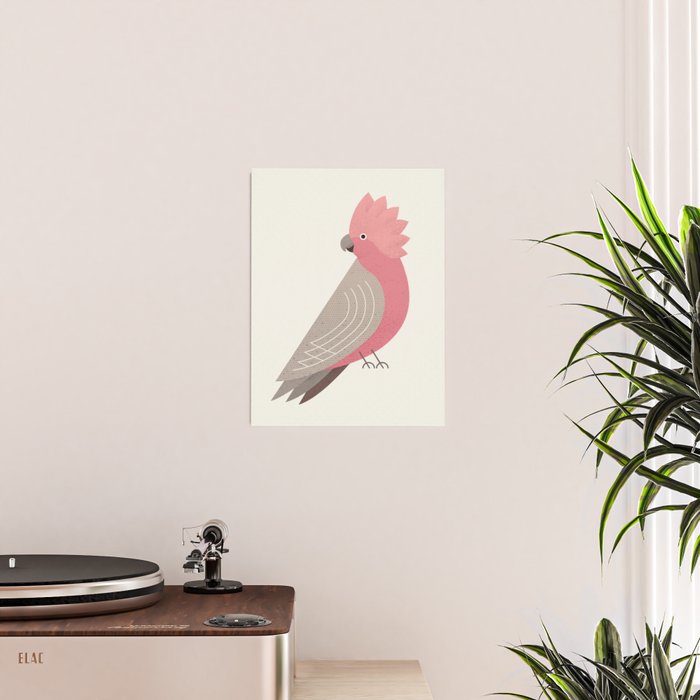 Whimsy Galah Poster Gallery Image 2