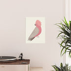 Whimsy Galah Poster Gallery Image 2