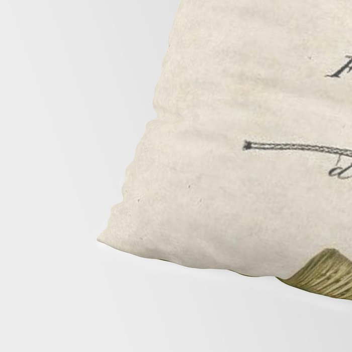 Vintage Brown Trout Fly Fishing Lure Patent Game Fish Identification Chart Pillow Sham Gallery Image 4