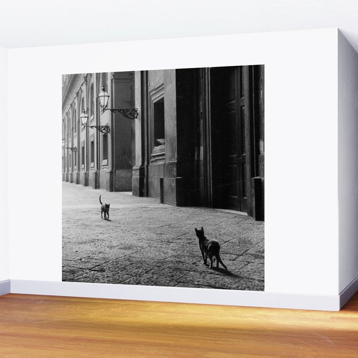 Two French Cats, Paris Left Bank black and white cityscape photograph / photography Wall Mural Gallery Image 2
