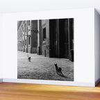 Two French Cats, Paris Left Bank black and white cityscape photograph / photography Wall Mural Gallery Image 2