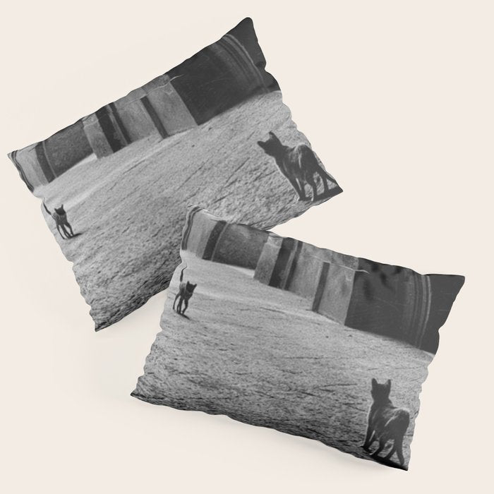 Two French Cats, Paris Left Bank black and white cityscape photograph / photography Pillow Sham Gallery Image 1