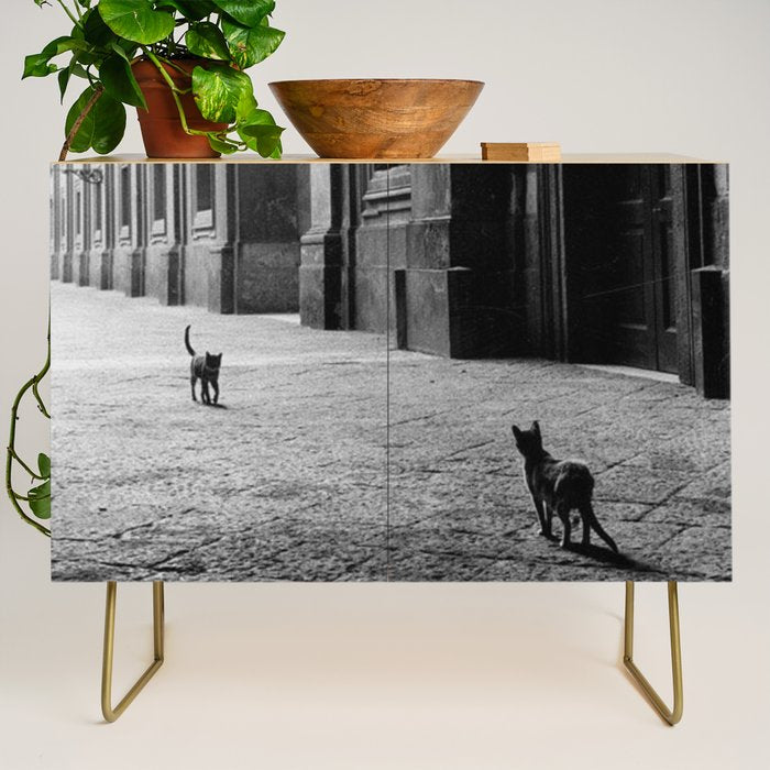 Two French Cats, Paris Left Bank black and white cityscape photograph / photography Credenza Gallery Image 1