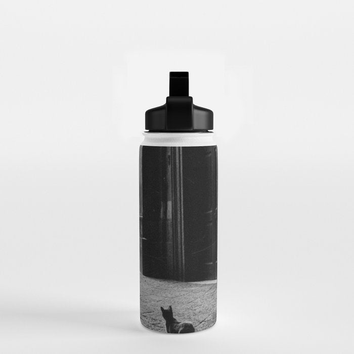 Two French Cats, Paris Left Bank black and white cityscape photograph / photography Water Bottle Gallery Image 2